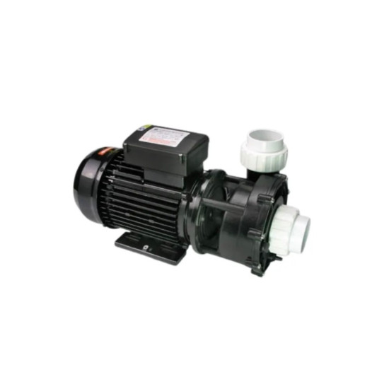 Pompe de massage Bi-vitesse WP250II - 2.5HP