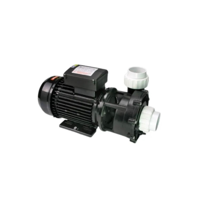 Pompe de massage Bi-vitesse WP250II - 2.5HP